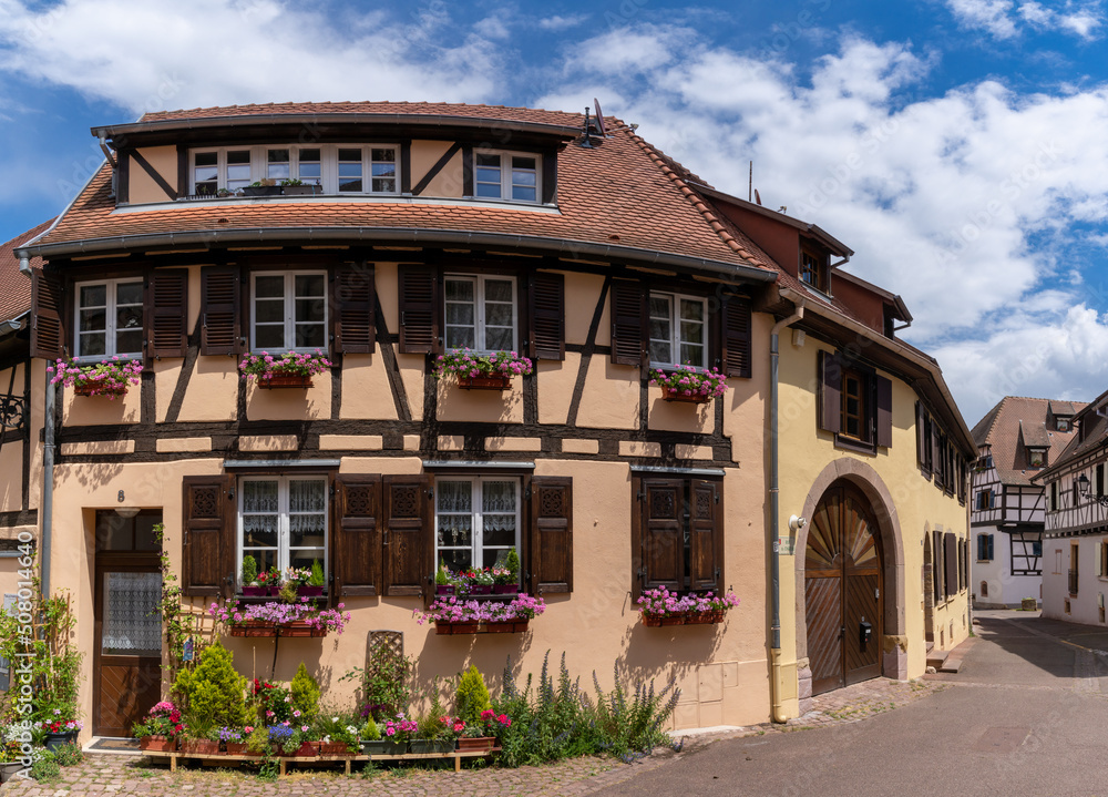 historic colorful half-timbered houses and wine cellars in the village center of Eguisheim