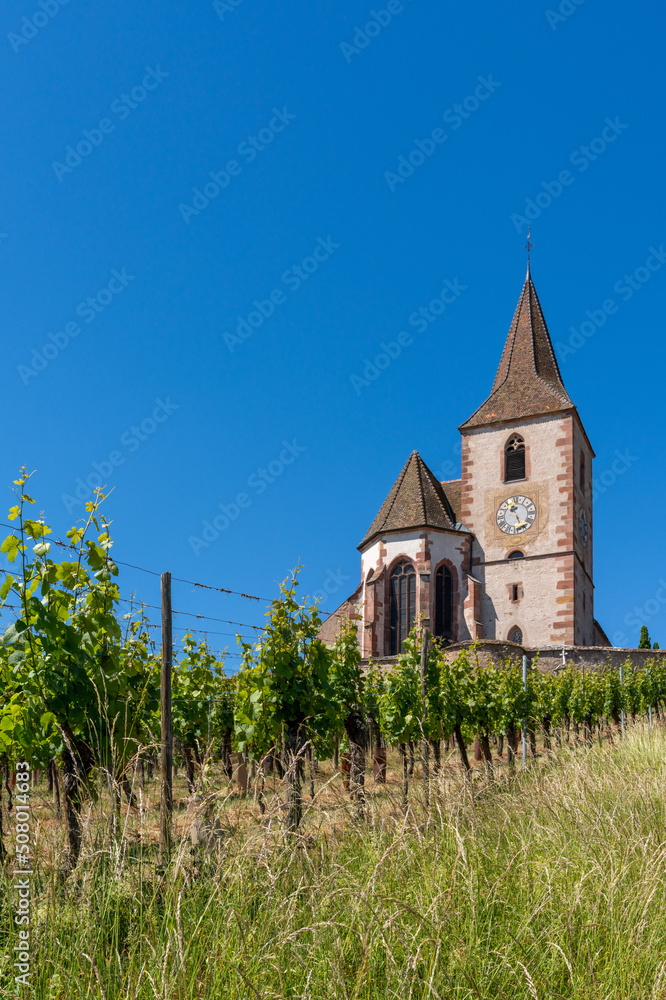 vertical view of the historic church of Saint-Jacques-le-Majeur and vineyards in Hunawihr village vertical view of the historic church of Saint-Jacques-le-Majeur and vineyards in Hunawihr village