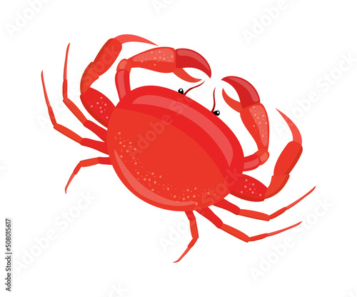 Crab Seafood icon. Vector illustration