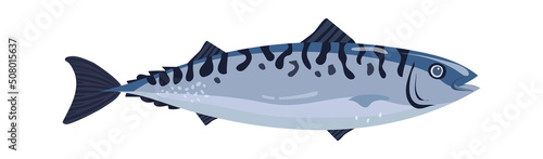 Mackerel fish Seafood icon. Vector illustration