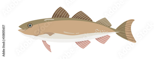 Sea fish Seafood icon. Vector illustration