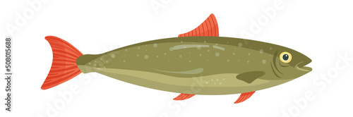 Trout fish Seafood icon. Vector illustration