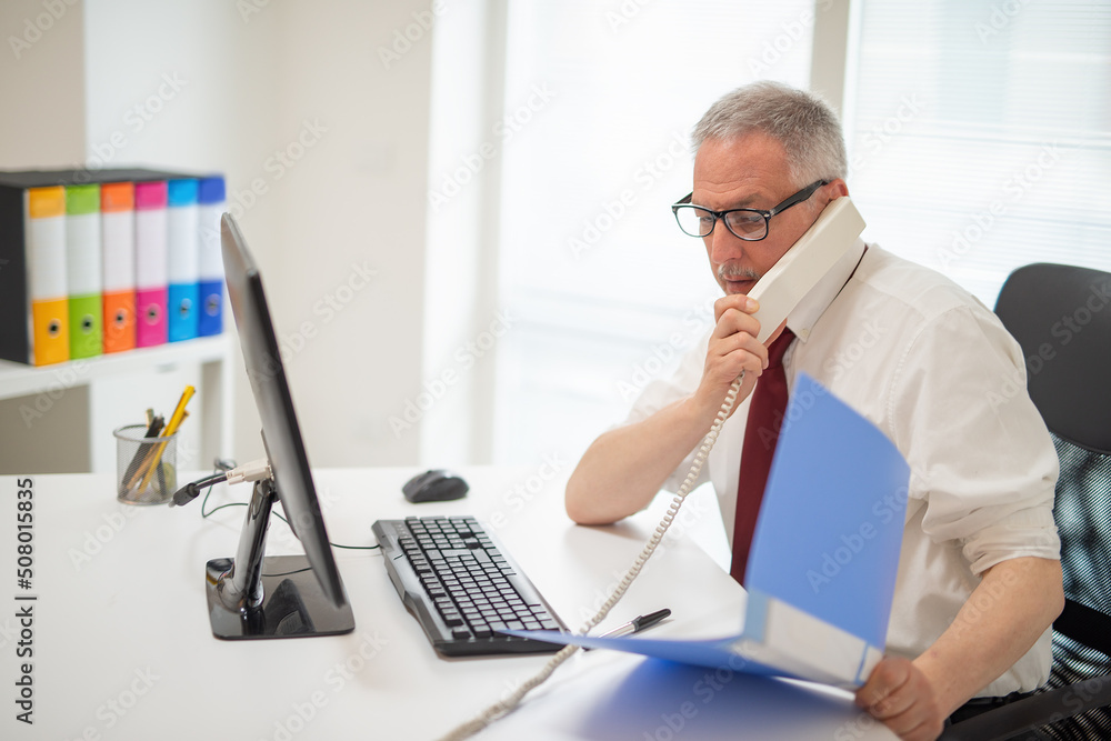 Businessman talking on the phone while using his desktop computer