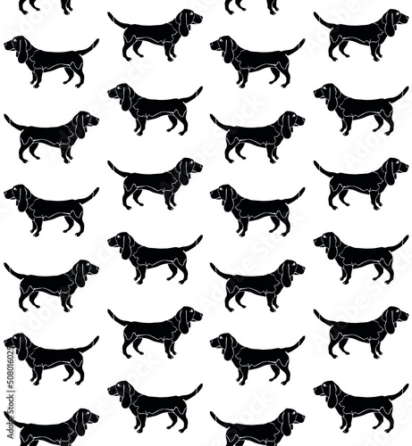 Vector seamless pattern of hand drawn basset hound dog silhouette isolated on white background