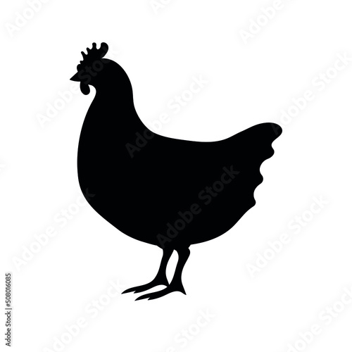 Vector hand drawn flat chicken hen silhouette isolated on white background