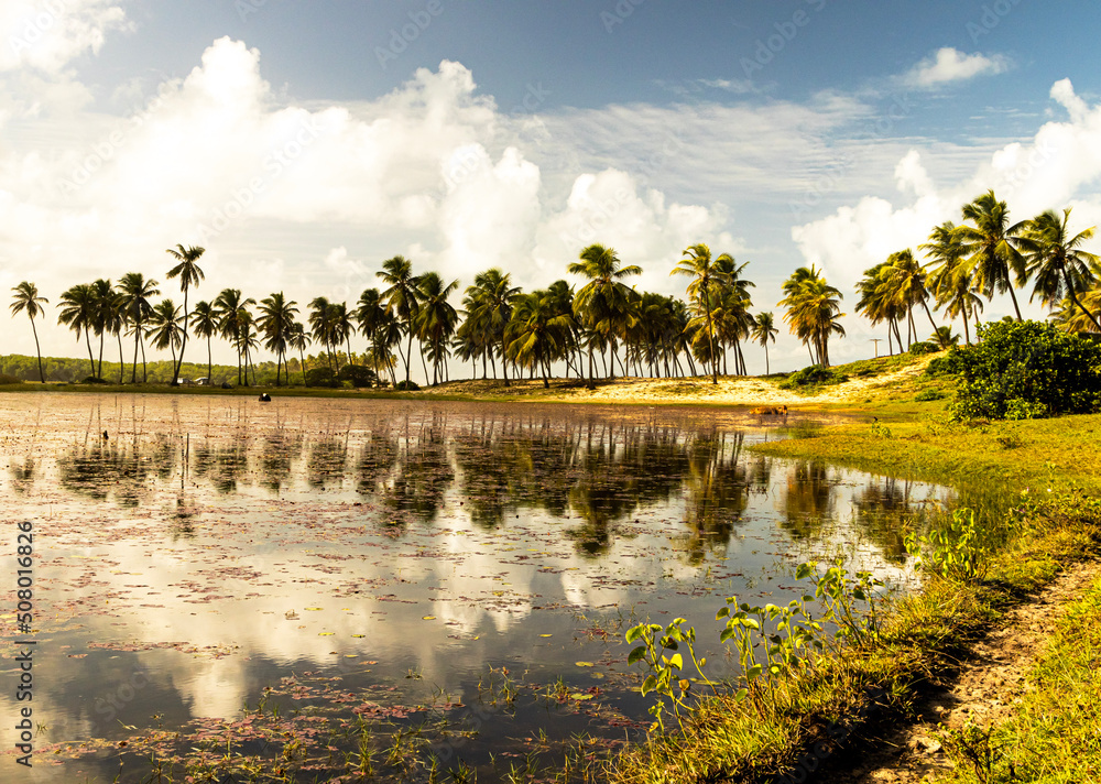 Fototapeta premium lake in the forest