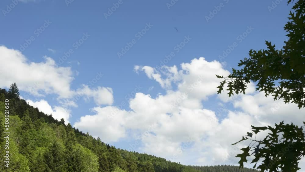 Time lapse forest mountain with blue sky and big white clouds in Vosges France 4K Time lapse forest mountain with blue sky and big white clouds in Vosges France 4K