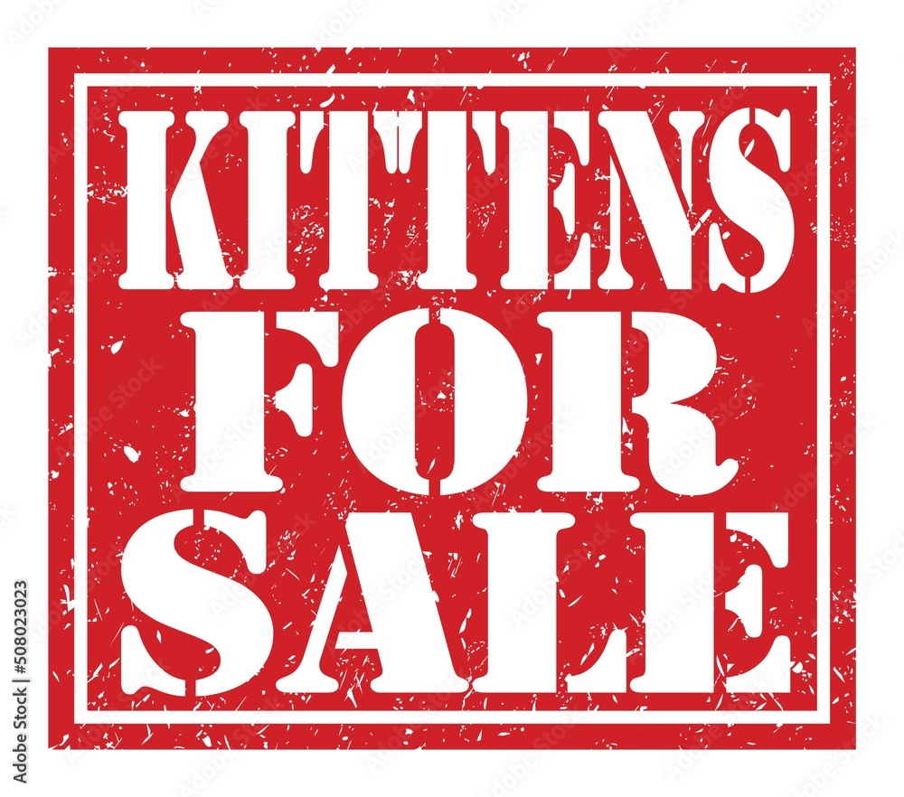 KITTENS FOR SALE, text written on red stamp sign KITTENS FOR SALE, text written on red stamp sign