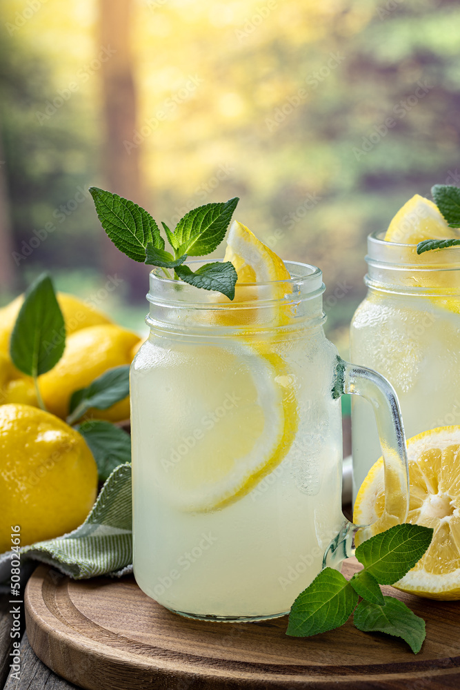Glass of lemonade with mint and lemons - obrazy, fototapety, plakaty 