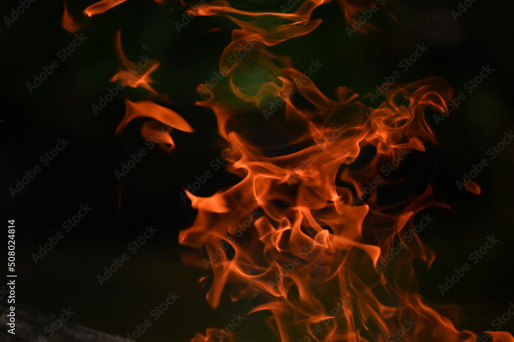 Fire burned by the stream in the forest Fire burned by the stream in the forest