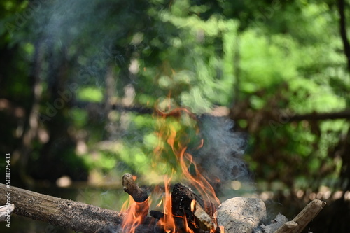 Fire burned by the stream in the forest