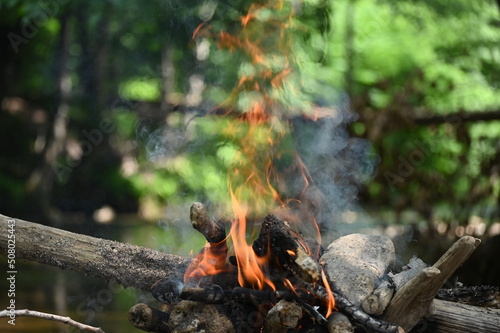 Fire burned by the stream in the forest