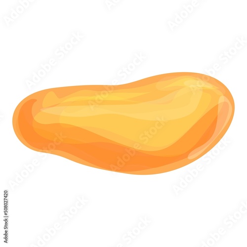 Gold dry food icon cartoon vector. Fruit date. Apricot snack