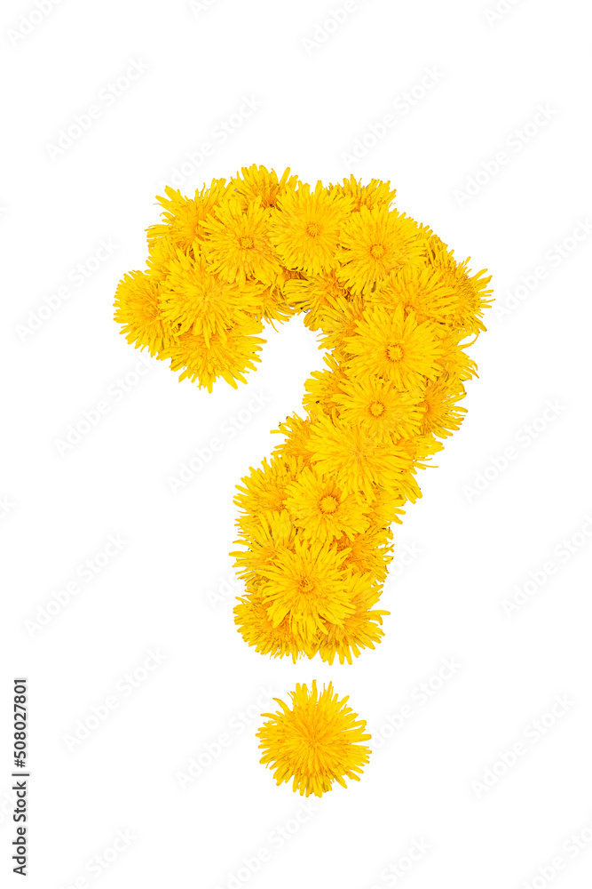 A question mark of yellow dandelion flowers isolated on a white background A question mark of yellow dandelion flowers isolated on a white background