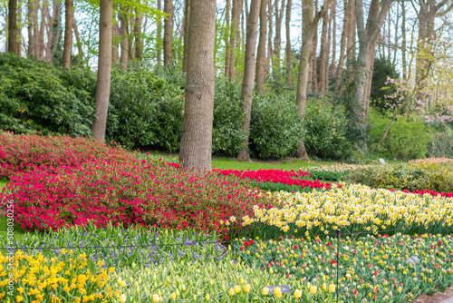 Beautiful garden with multi colored flowers near the Amsterdam city, Netherlands.