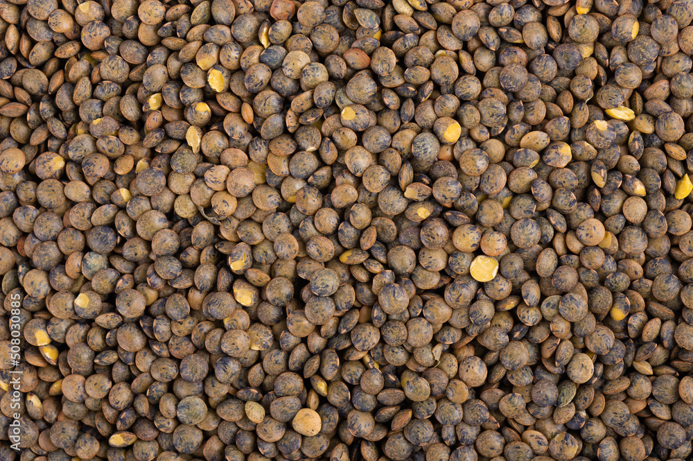 French lentils background. Dry puy lentil grains pile. Top view. French lentils background. Dry puy lentil grains pile. Top view.