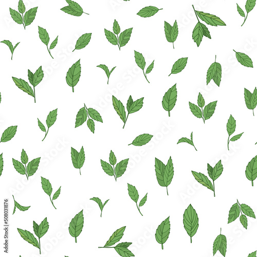 tea leaves vector seamless pattern