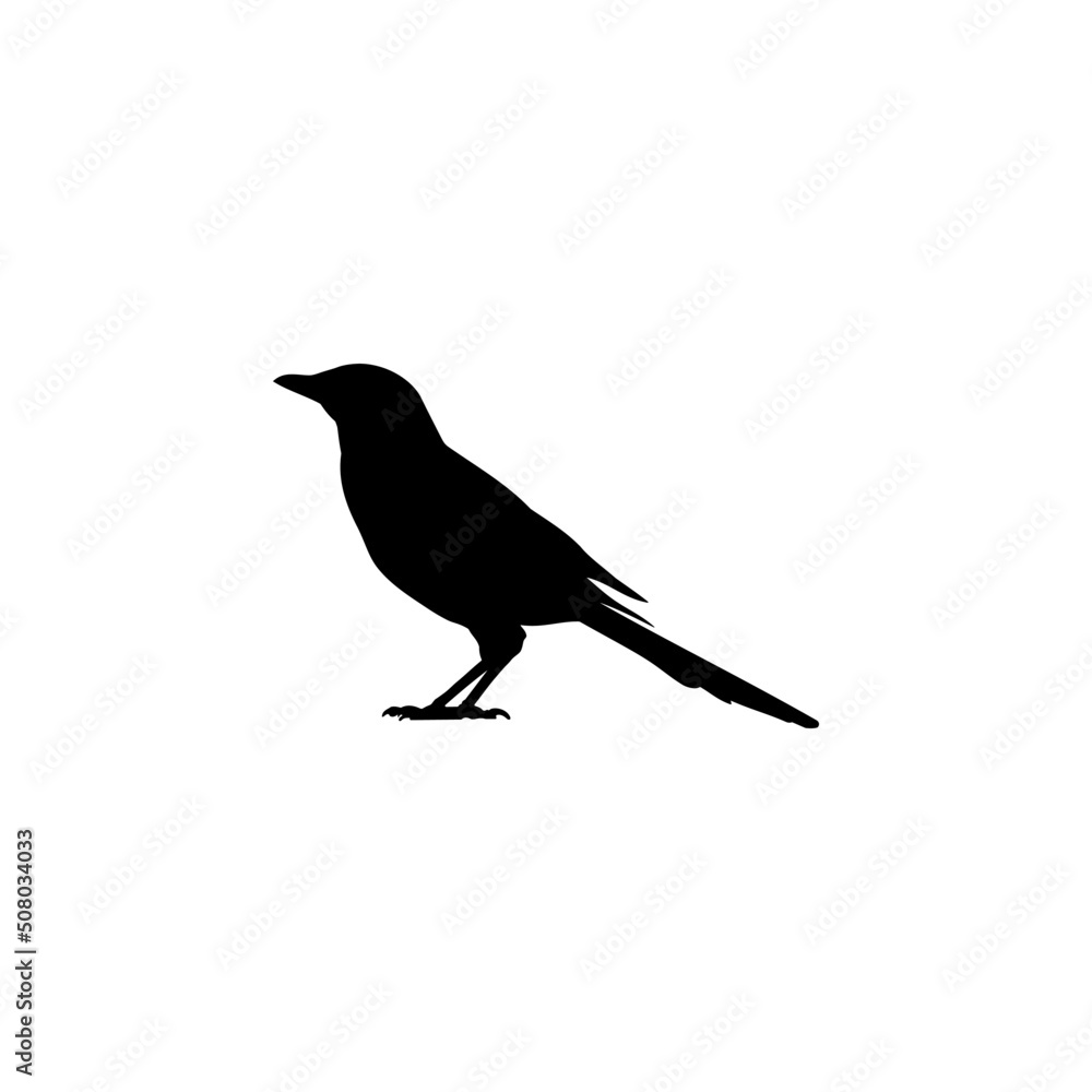 The Best Magpie Silhouette Illustration. Magpie Bird Silhouette Vector For Animals Design The Best Magpie Silhouette Illustration. Magpie Bird Silhouette Vector For Animals Design