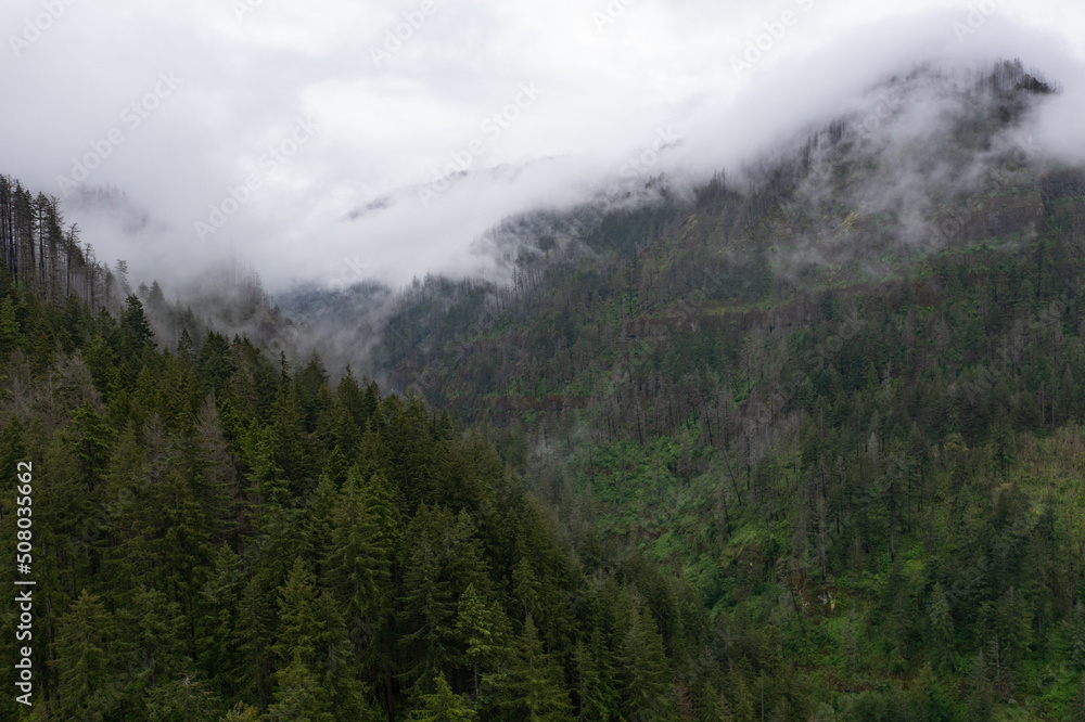 Mist drifts over the extensive forest bordering the Columbia River Gorge in Oregon. The expanse of forests thrive due to the geology, geography, and climate found in this west coast region.