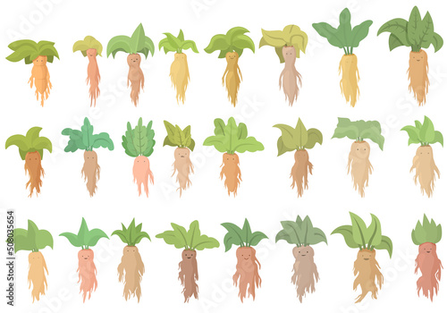 Mandrake icons set cartoon vector. Alchemy ancient. Botany carrot