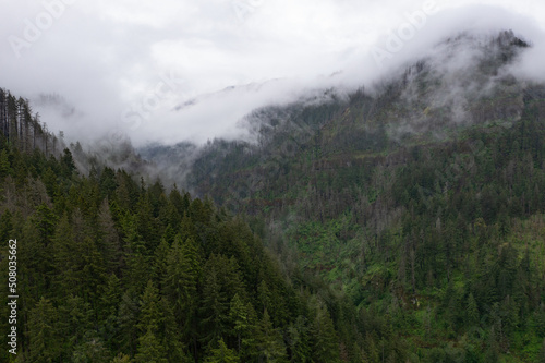Mist drifts over the extensive forest bordering the Columbia River Gorge in Oregon. The expanse of forests thrive due to the geology  geography  and climate found in this west coast region.