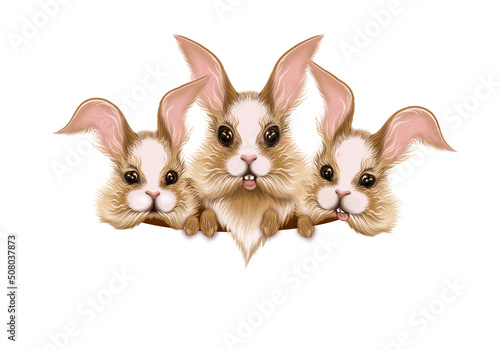 three funny bunnies with space for text