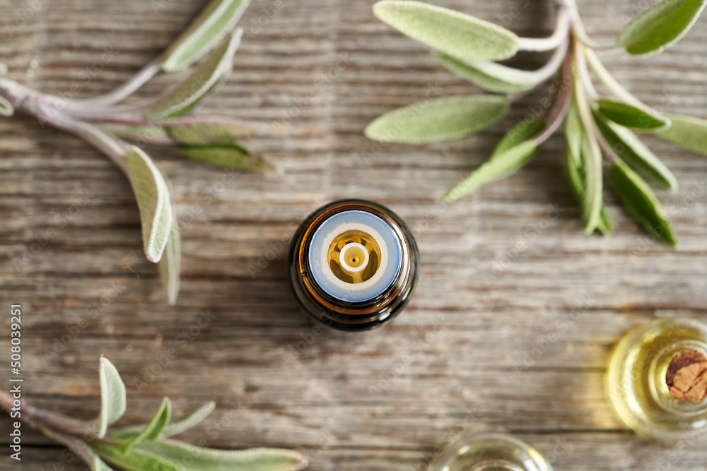 A bottle of sage essential oil with fresh sage A bottle of sage essential oil with fresh sage