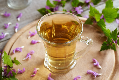 A cup of purple dead-nettle tea with fresh blooming plant photo