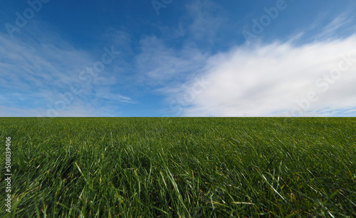 landscape with meadow and sky