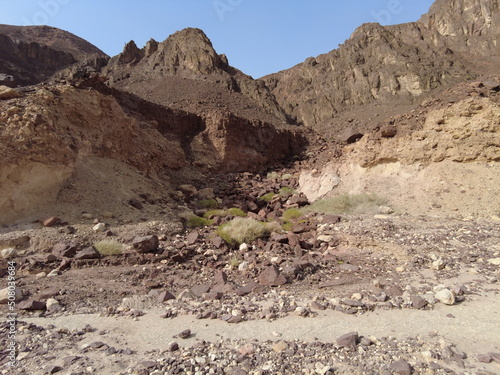 landscape in the desert