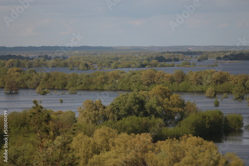 Spring Flood On The Desna River. Mezynsky National Nature Park, Chernihiv Region, Ukraine