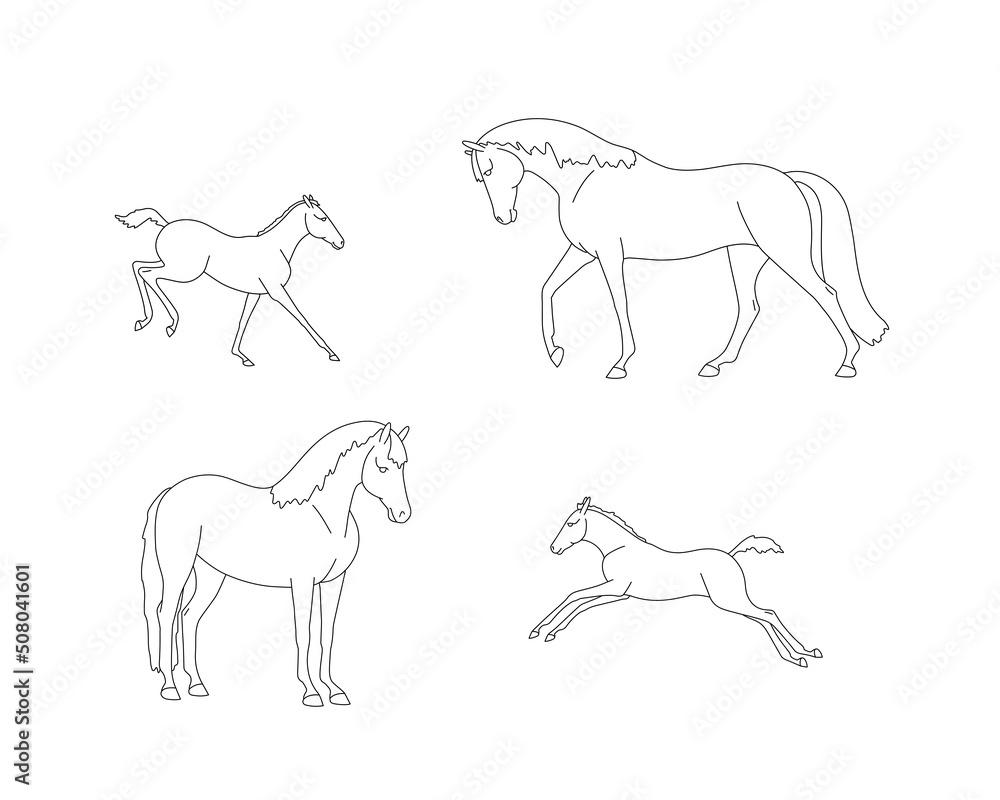 Mares with foals outlines for coloring book