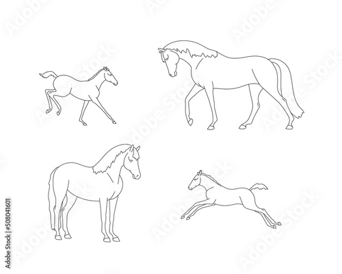 Mares with foals outlines for coloring book