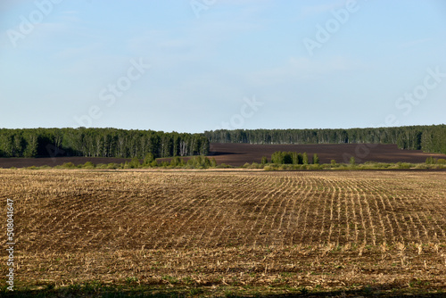 Podobny obraz