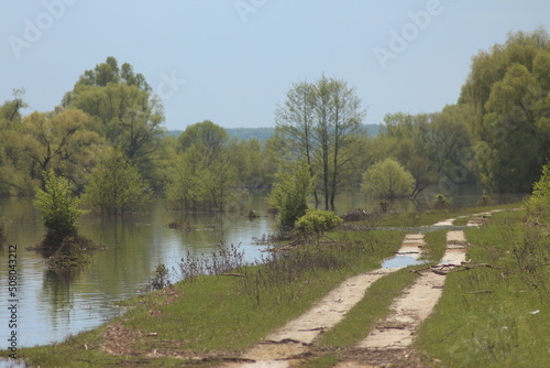 Spring Flood On The Desna River. Mezynsky National Nature Park, Chernihiv Region, Ukraine