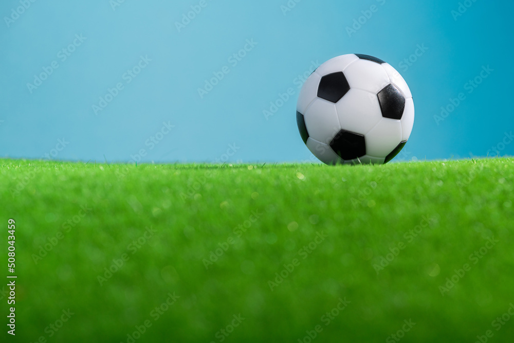 Obraz premium Classic football ball on a green grass.