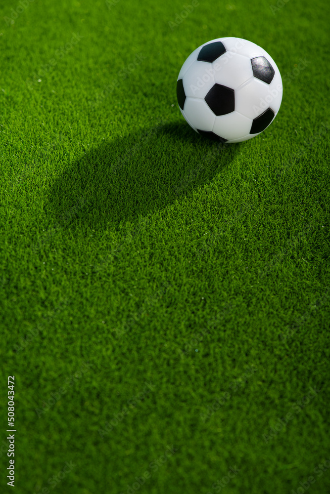 One football soccer ball on a green grass field One football soccer ball on a green grass field
