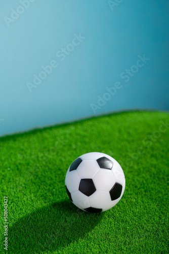 Classic football ball on a green grass. © dimasobko