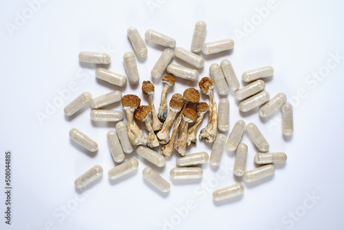 Micro dosing concept. Dry psilocybin mushrooms and natural herbal pills on grey background. Psychedelic magic mushroom as medical supplement.