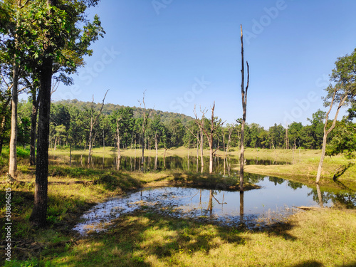 A pond in a tropical forest in a national park