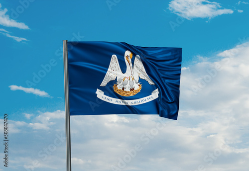 US state flag