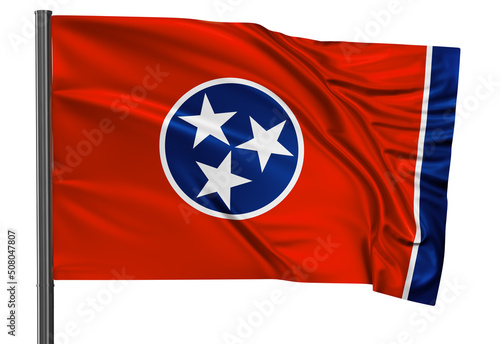 US state flag