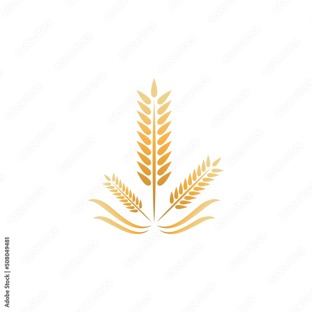 Wheat logo vector icon illustration Wheat logo vector icon illustration