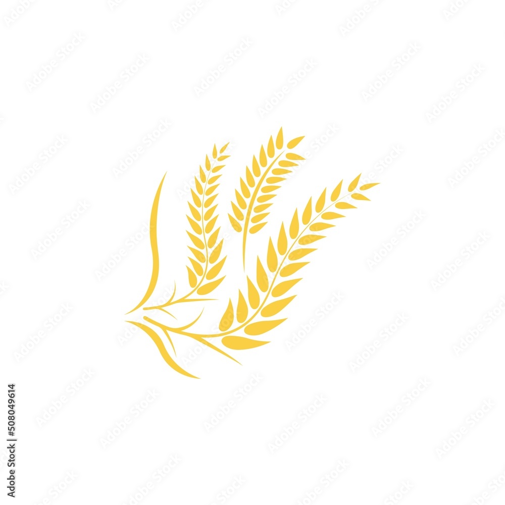 Wheat logo vector icon illustration Wheat logo vector icon illustration
