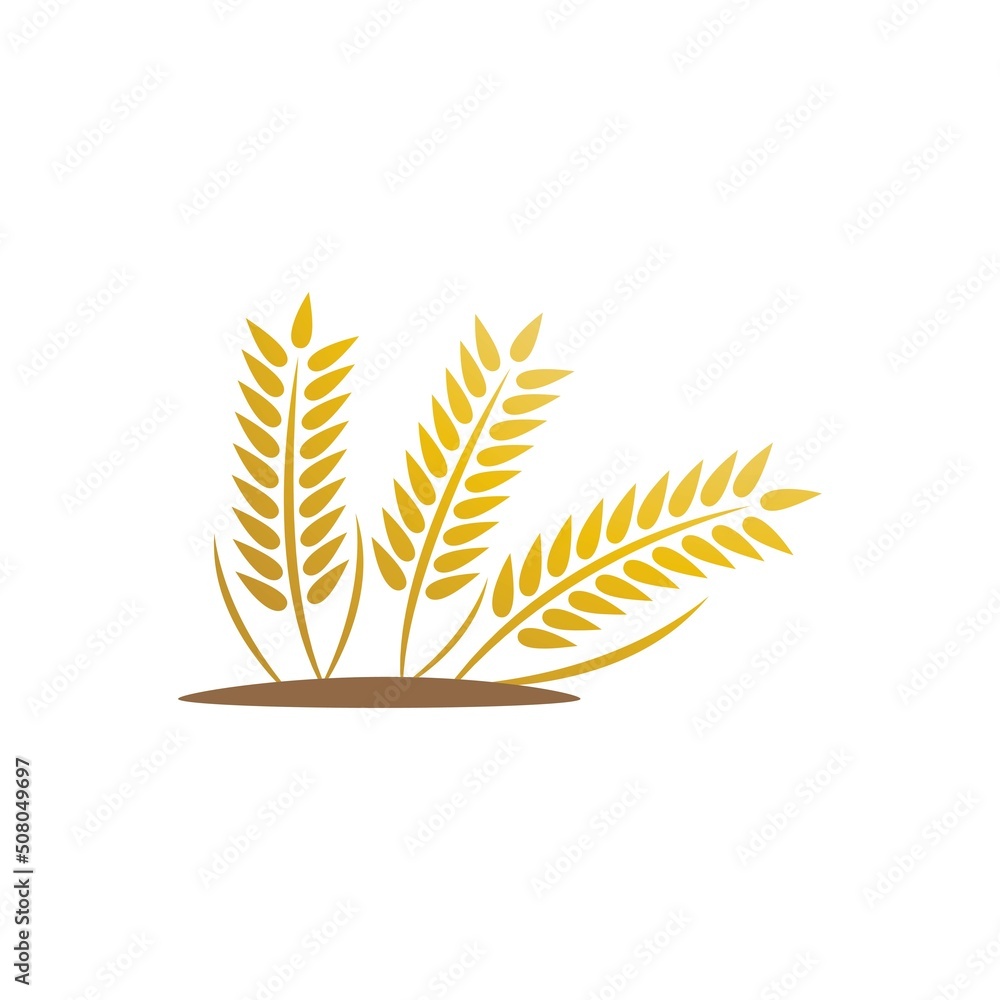 Wheat logo vector icon illustration Wheat logo vector icon illustration