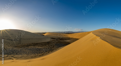 Sand dunes Maspalomas of Gran Canaria  Canary Islands