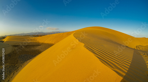 Sand dunes Maspalomas of Gran Canaria  Canary Islands