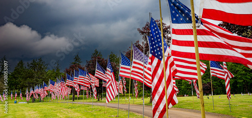 A display of United States flags on Memorial Day along a road in a cemetary near Dallas Oregon photo