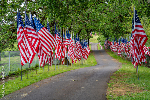 A display of United States flags on Memorial Day along a road in a cemetary near Dallas Oregon photo