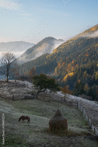 Morning in the Carpathians. Haystack and horse on the background of mountains.